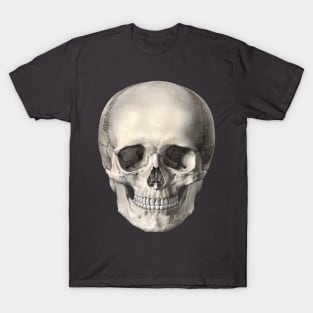 Antique Human Anatomy Skull T-Shirt